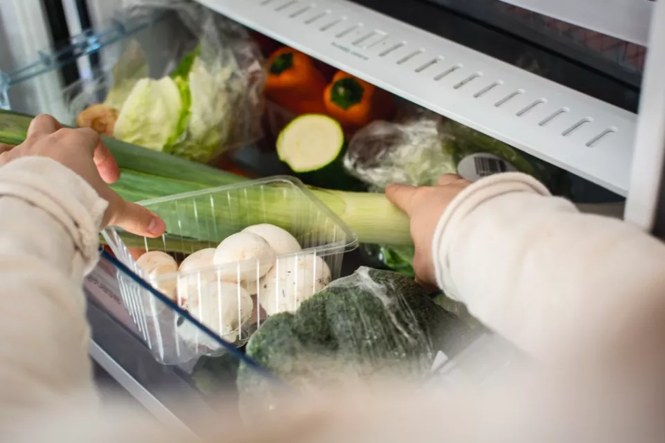 Refrigerator Repair in Kolkata